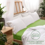 Prześcieradło jersey z gumką 160x200 w kolorze Kaktus, leżące na materacu. Tło w naturalnym wystroju sypialni z poduszkami w białych poszewkach i roślina w doniczce. Widoczne logo i napis Idealnie przylega do materaca.
