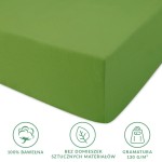 Prześcieradło jersey z gumką 180x200 w kolorze kaktus; wykonane z 100% bawełny, o gramaturze 130 g/m². Złożone, z widoczną gładką fakturą i elastycznymi brzegami, idealne do łóżka. Tło białe, co podkreśla intensywność koloru.