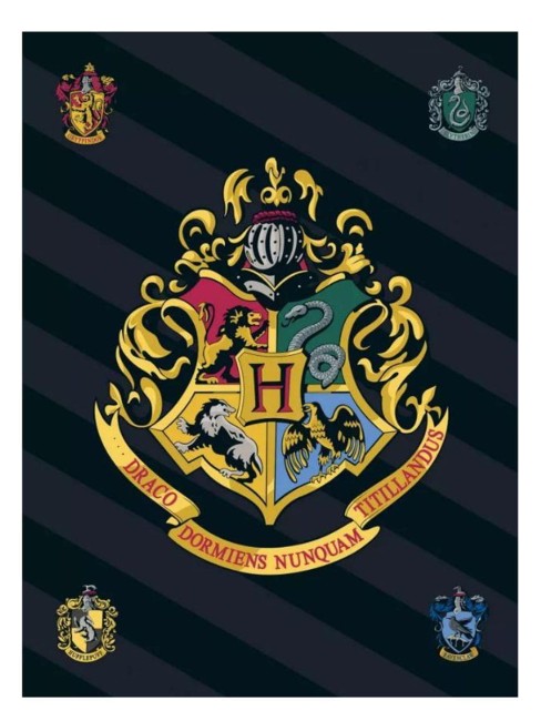  Lekki kocyk dla dziecka z miękkiego polaru 100x140 cm Harry Potter 