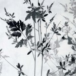 Pościel satyna bawełniana 140x200 Noira w bieli z czarnym i szarym botanicznym wzorem. Zbliżenie na szczegóły roślinne, delikatne kontury i teksturę materiału. Wzór ukazuje eleganckie liście na jasnym tle.