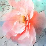 Pościel satyna bawełniana 160x200 Roselle w odcieniach szaro-zielonych z różowymi kwiatami. Zbliżenie na różową różę z delikatnymi detalami i gałązkami w tle, na jasnym tle. Idealna do sypialni, zapewnia elegancki wygląd.