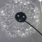Pościel bawełniana 140x200 Dandelion szara w białe i czarne dmuchawce, Cottonlove