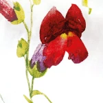 Pościel bawełniana 180x200 Wild Meadow biała w kolorowe kwiaty, Cottonlove